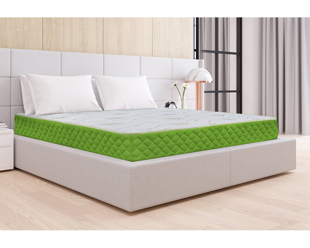 1-Aloe-VeraPocket-Bedora-principala-colaj-mic-5945878003522