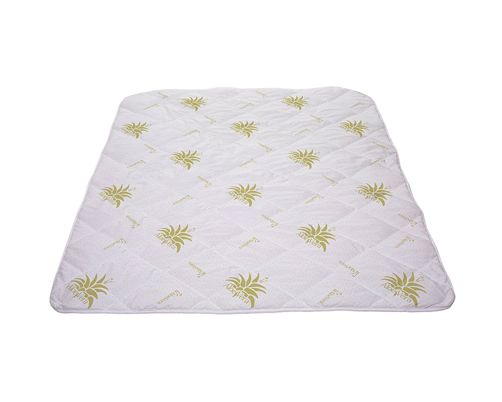 10 Pilota Aloe Vera 2 LOW