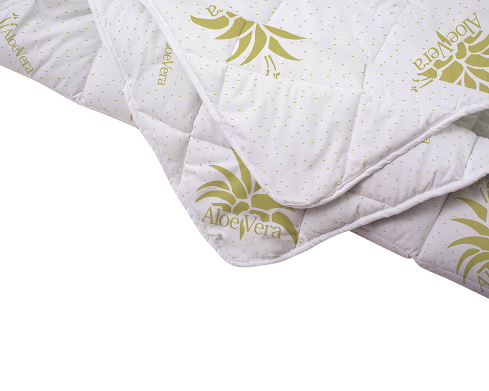 11 Pilota Aloe Vera 3 LOW