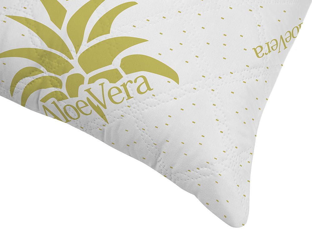 02_perna-Aloe-Vera-1