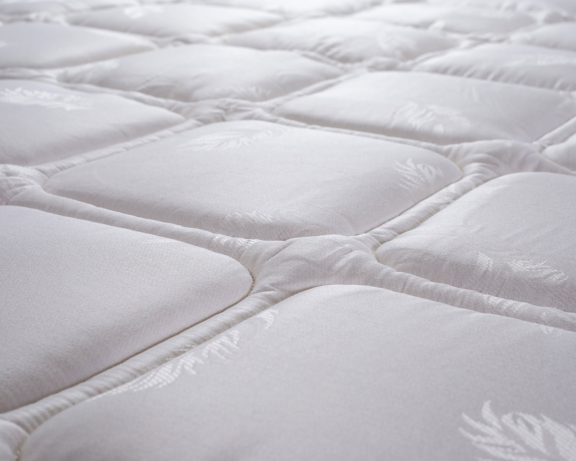 7 Benelux - det mat 2