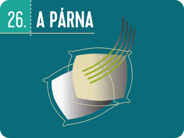 Az ideális alvás 100 titka – A párna