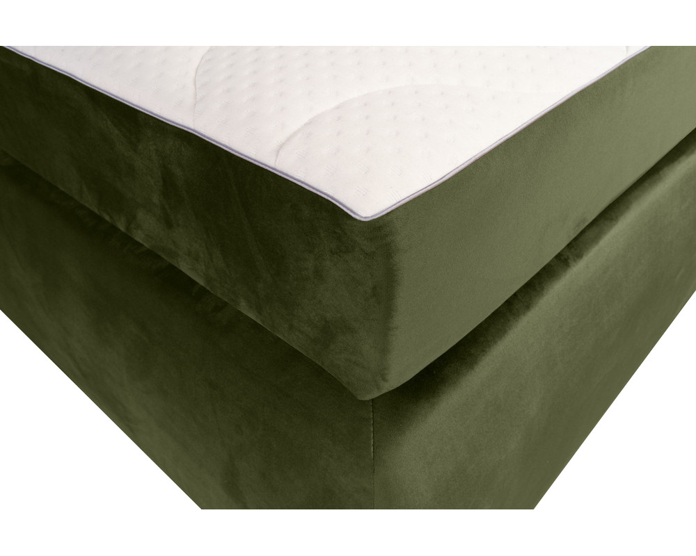 09_Pat Leon_Pandora_Verde