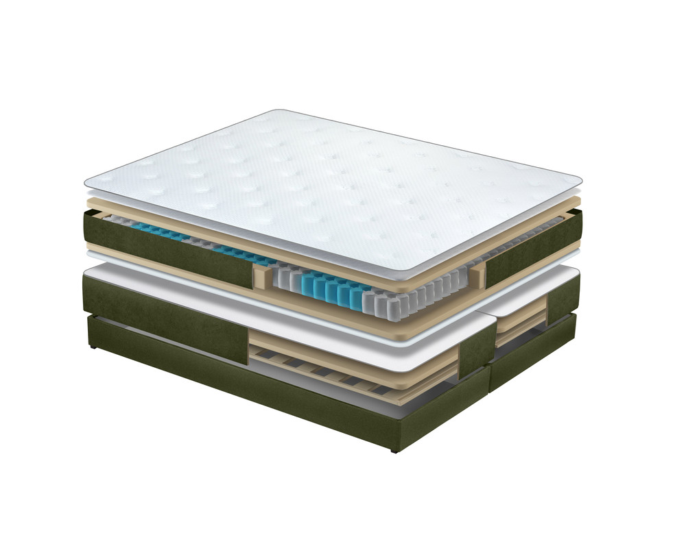 structura_Pat Bergen-Leon_Verde